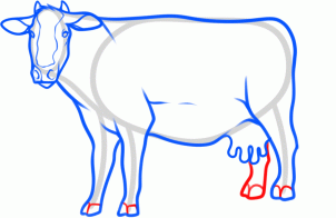 kak narisovat korovu1094